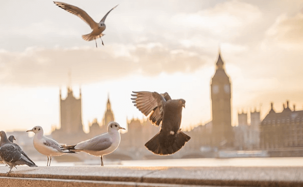 英国留学失败教训，留学英国难吗？