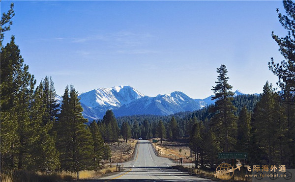 山