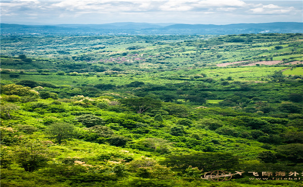 希腊移民的教育怎么样,移民希腊有什么优势吗