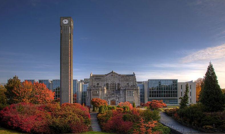 大学最近几年cs专业大热,滑大光是本科计算机专业的留学生就增加了75%