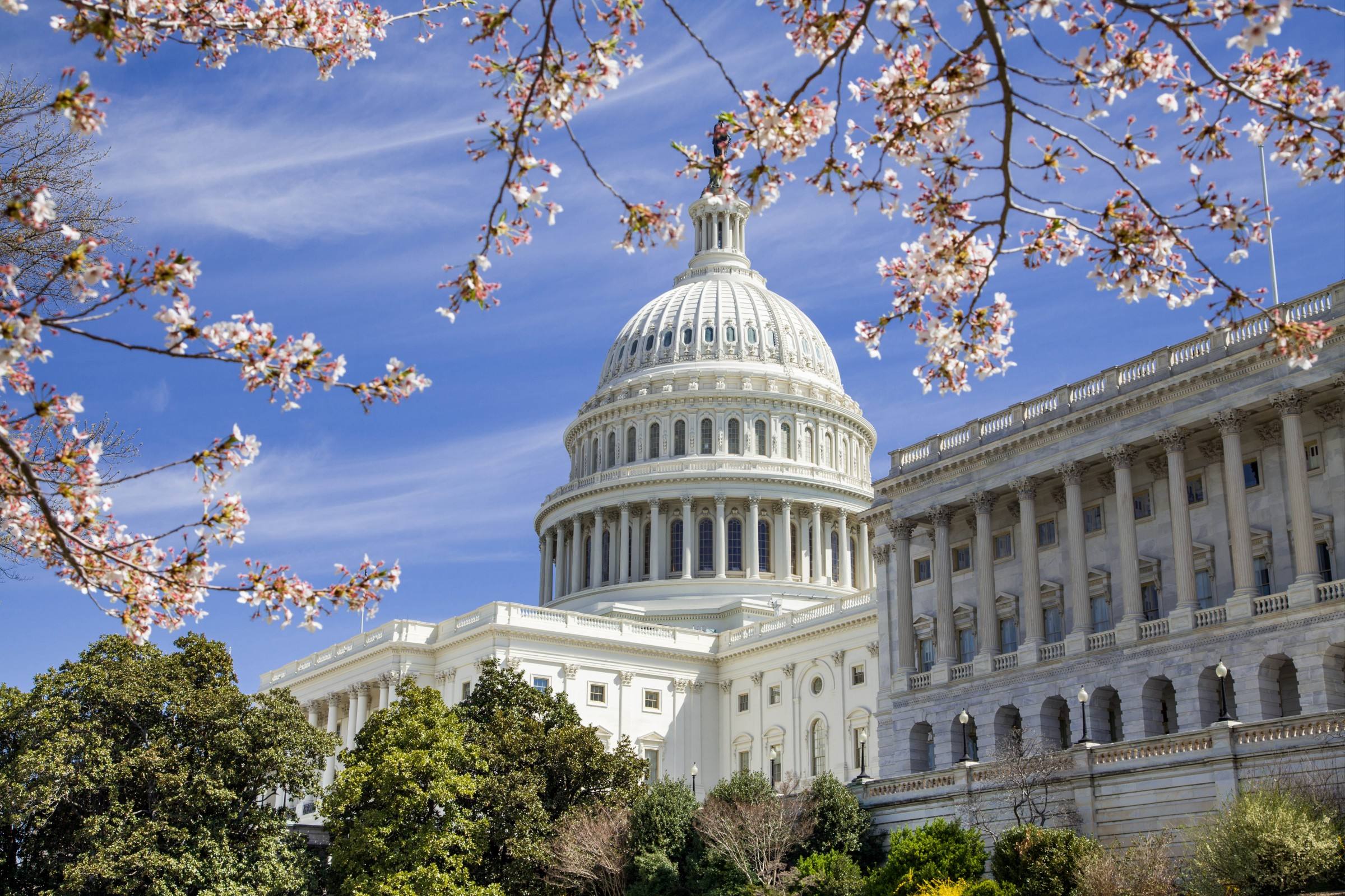由于美国本科学校类型分为三种---社区大学,文理学院和综合性大学