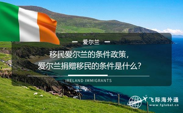 移民爱尔兰的条件政策，爱尔兰捐赠移民的条件是什么？