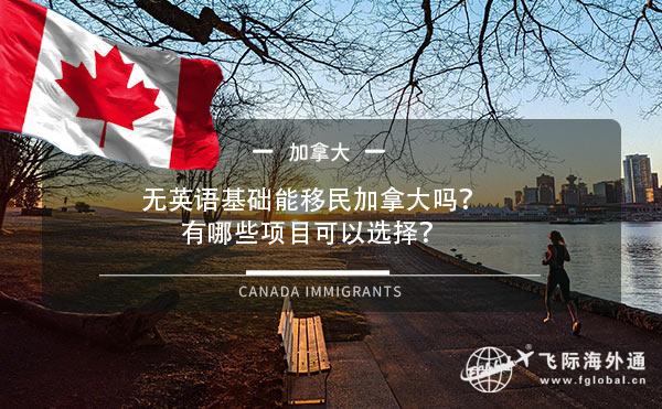 无英语基础能移民加拿大吗？有哪些项目可以选择？