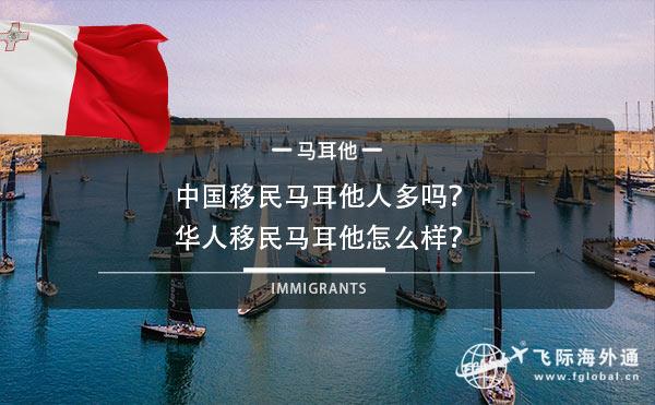 中国移民马耳他人多吗？华人移民马耳他怎么样？