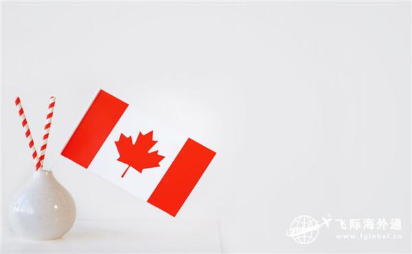 加拿大中国移民的多吗