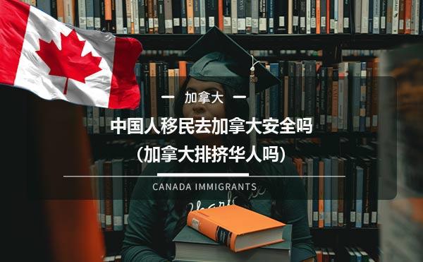 中国人移民去加拿大安全吗（加拿大排挤华人吗）1.jpg