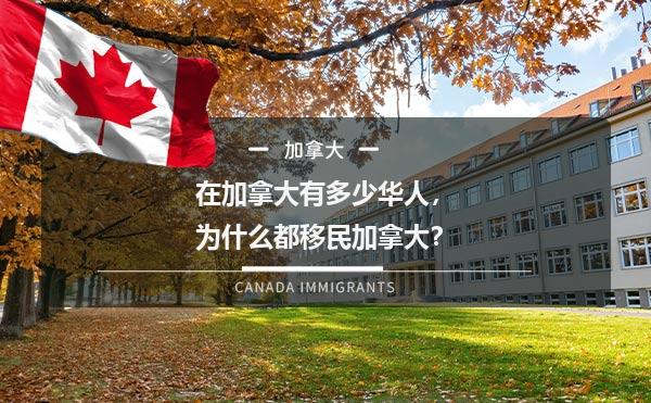 在加拿大有多少华人，为什么都移民加拿大？1.jpg