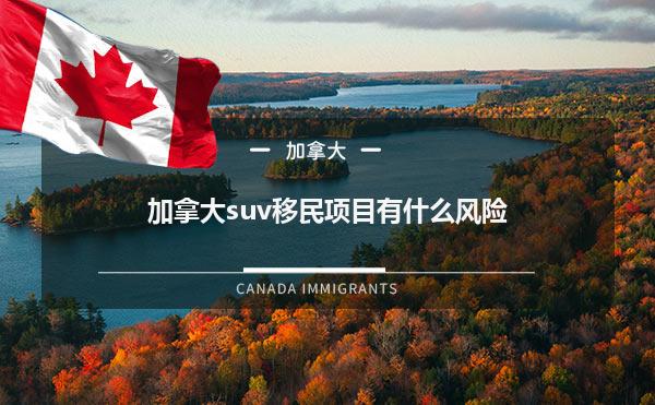 加拿大suv移民项目有什么风险