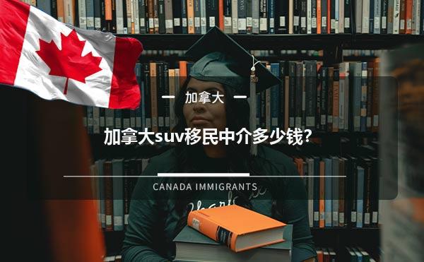 加拿大suv移民中介多少钱？