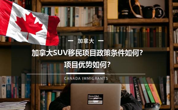 加拿大SUV移民项目政策条件如何？项目优势如何？